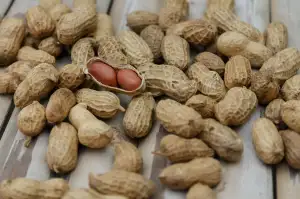 Protein Při Hubnutí